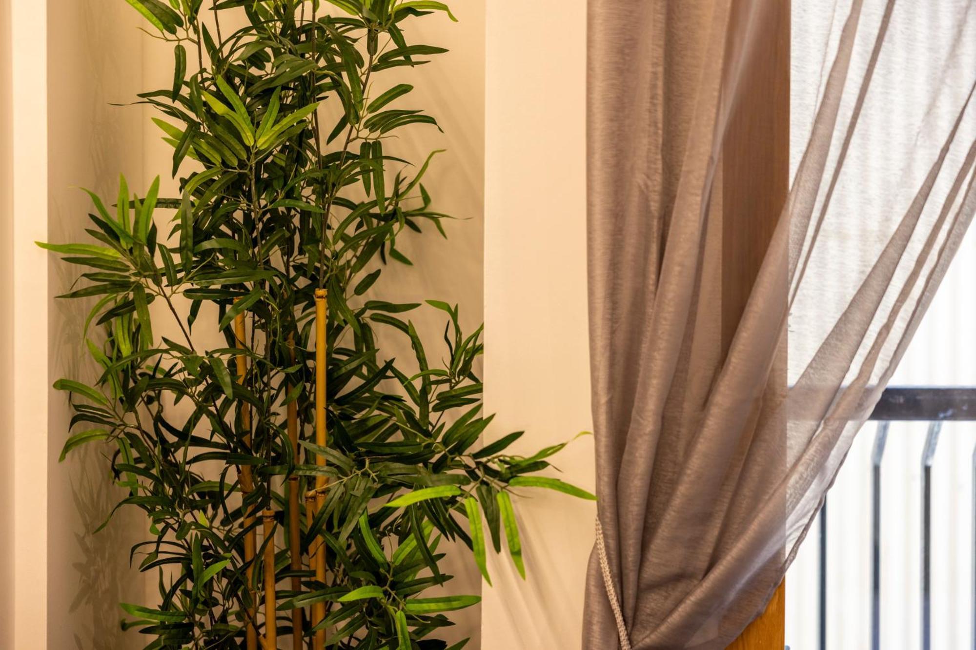 Estudio Para Grupos Pequenos En El Pas De La Casa - Centrico Buitenkant foto